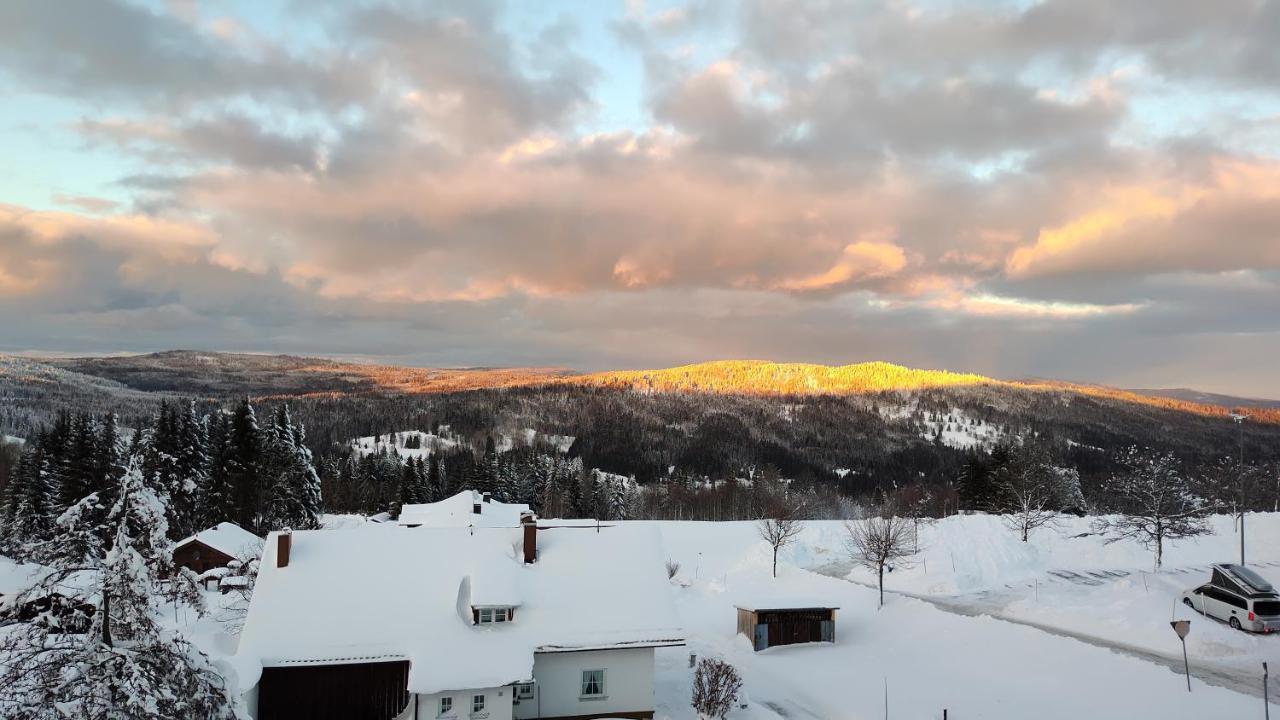 Two Apartaments Almberg - Mitterdorf-Mitterfirmiansreut Buitenkant foto