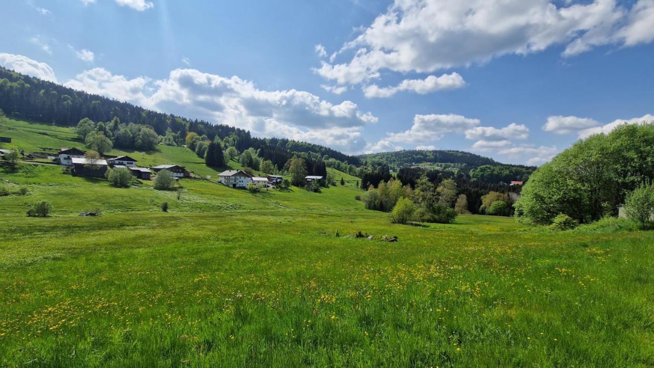 Two Apartaments Almberg - Mitterdorf-Mitterfirmiansreut Buitenkant foto