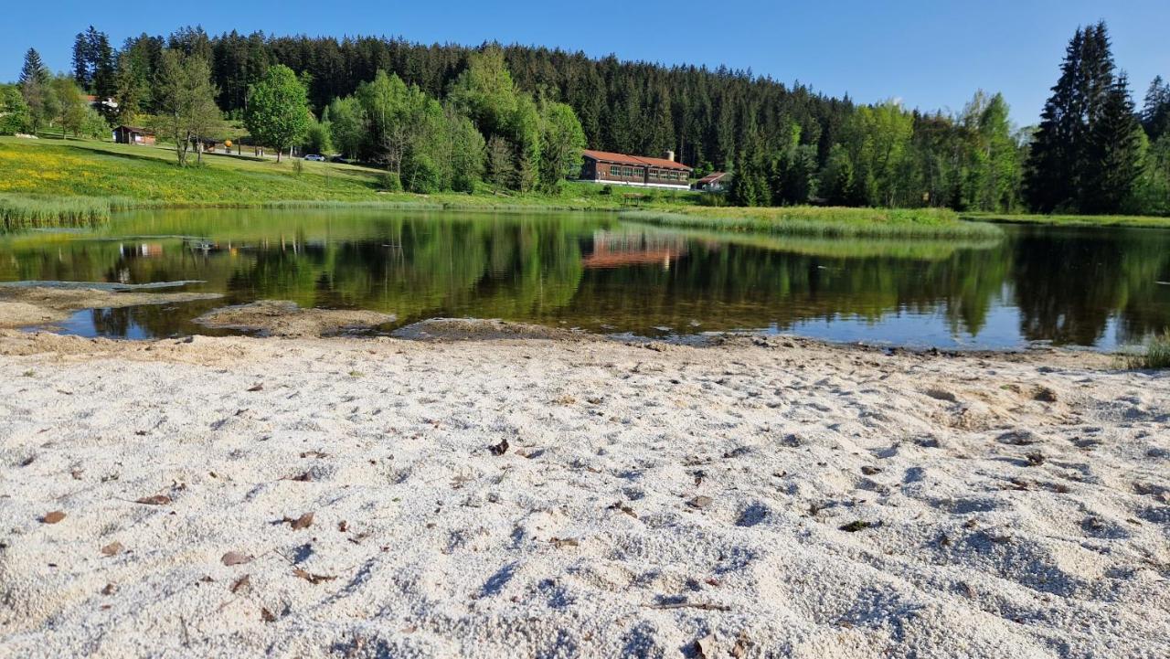 Two Apartaments Almberg - Mitterdorf-Mitterfirmiansreut Buitenkant foto