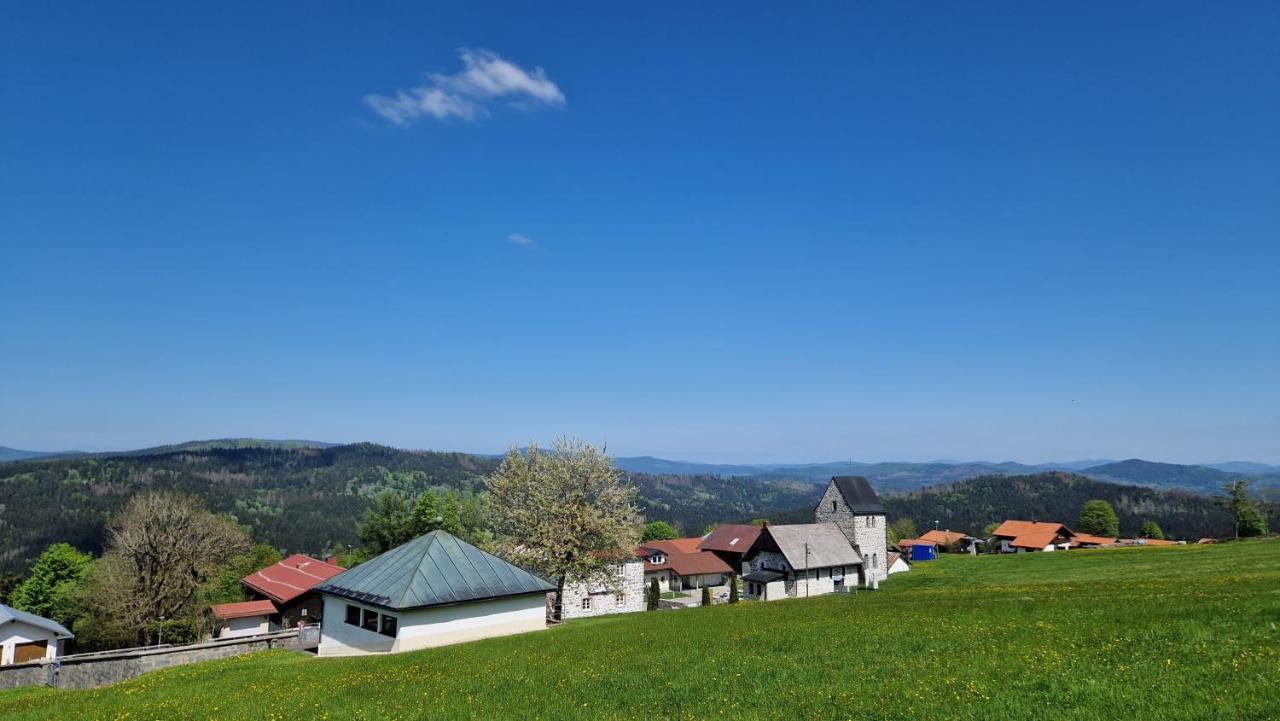 Two Apartaments Almberg - Mitterdorf-Mitterfirmiansreut Buitenkant foto